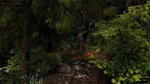 Enderal - Path in a Forest
