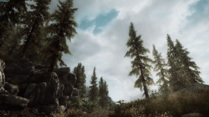 On the Road to Solitude