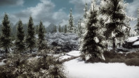 Snowy Skyrim